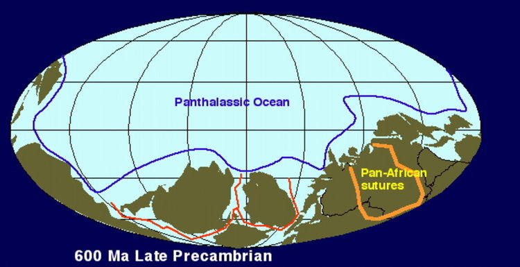 Реконструираха най-загадъчния организъм на Земята (видео)