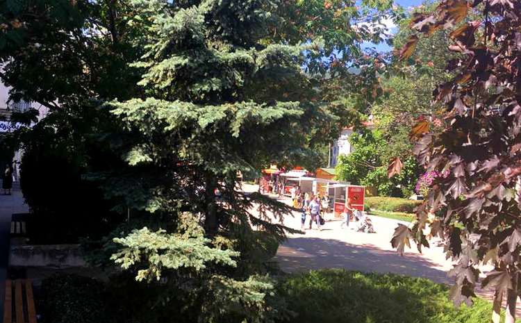 На един общински служител в Асеновград се падат 390 души, в Пловдив - 479