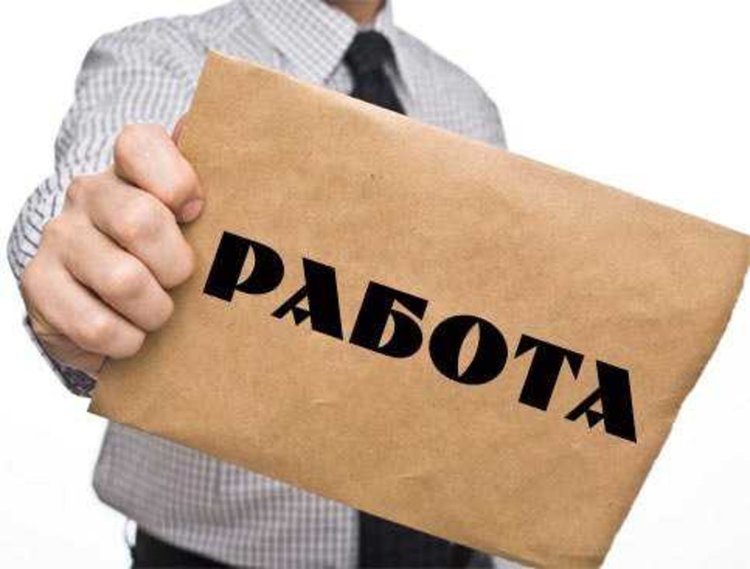 Работни места на борсата в Смолян, търсят шофьори срещу висока заплата