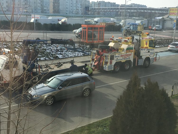 Паякът в Димитровград закъса предпразнично