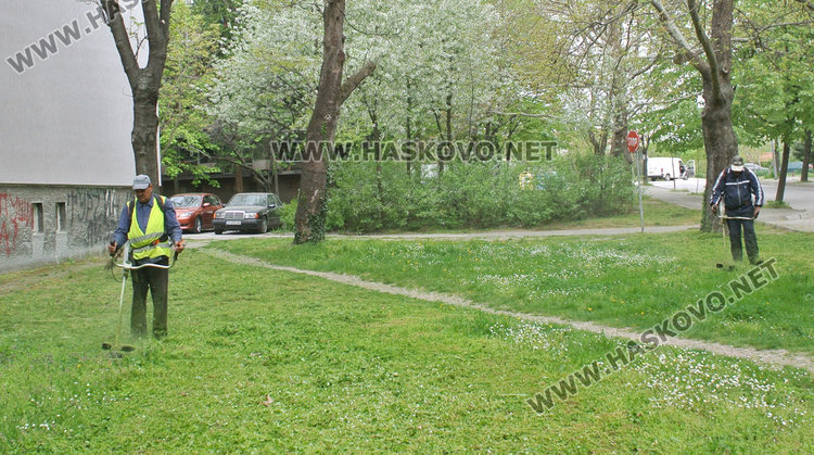 12 в Инфекциозно заради кърлежи, до дни пръскат срещу акари 