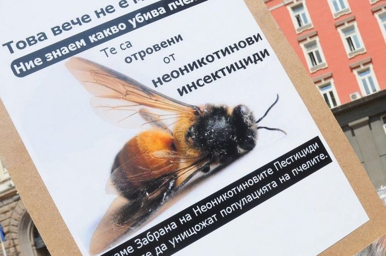 Пчелари от цялата страна излизат на протест