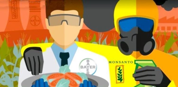 Monsanto плащали на Google да промотира в търсенето материали срещу критик на компанията