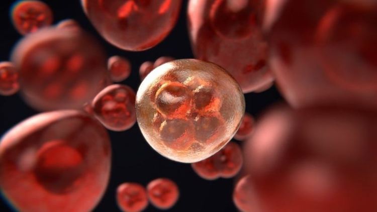 Пробив в борбата със злокачествените тумори