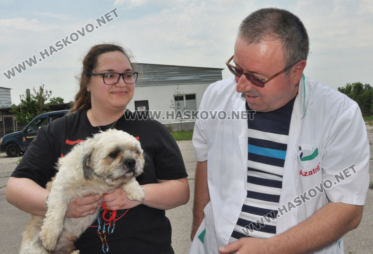 16 кучета са осиновени от приюта в Хасково