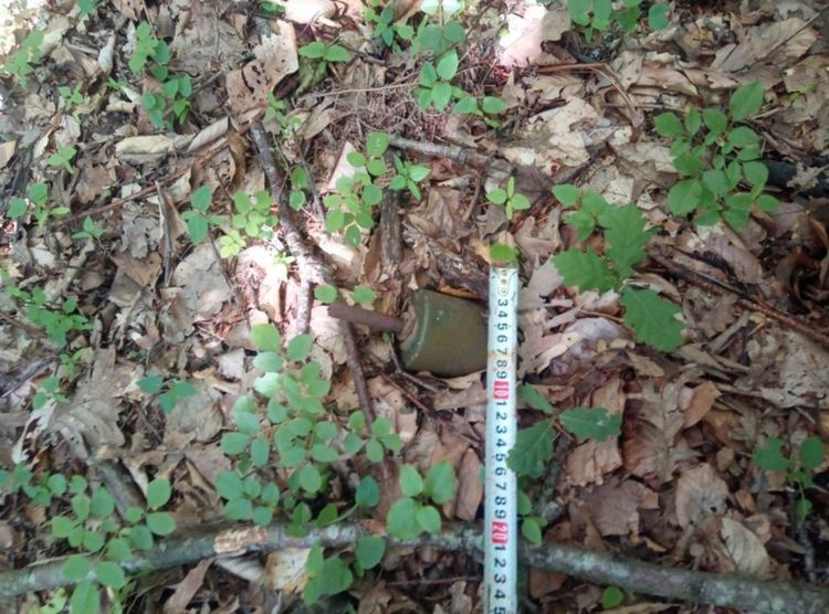 Военни от Хасково унищожиха корозирала противопехотна мина