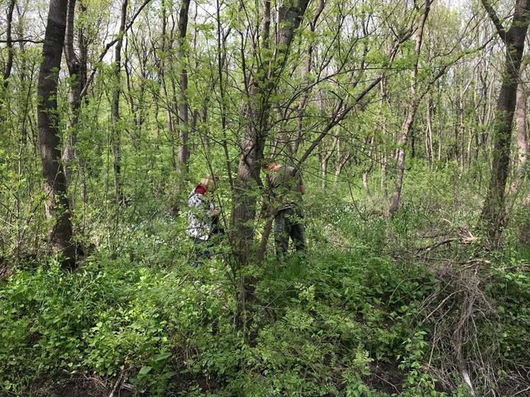 Градинската гора е обявена за защитена територия