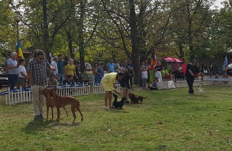 The Dog Show 2021 ще е на 16 и 17 октомври?