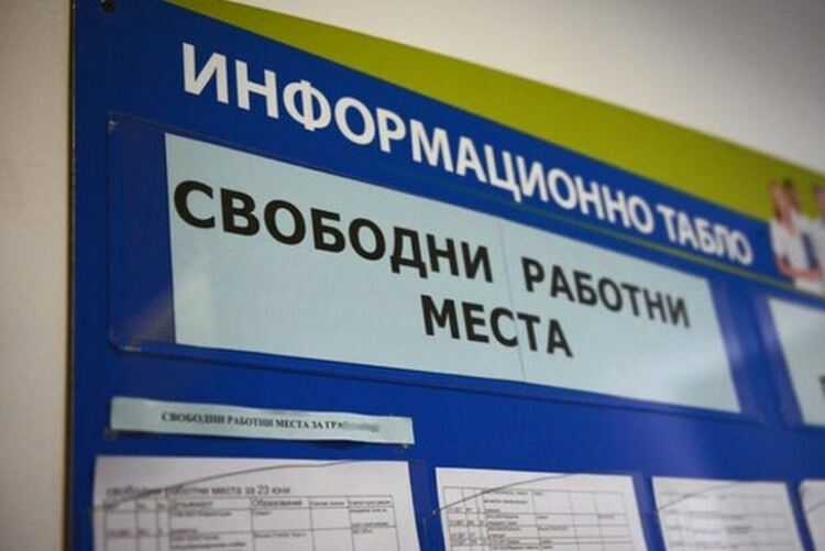 Търсят се работници за кланица
