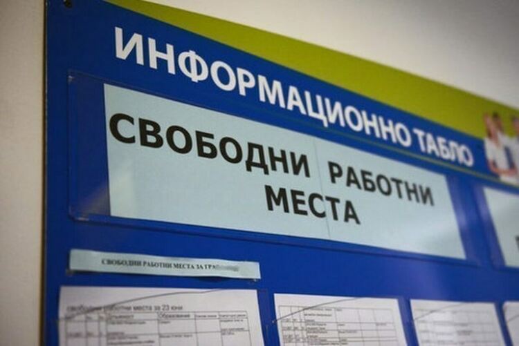 Само 11 са обявените свободни работни места