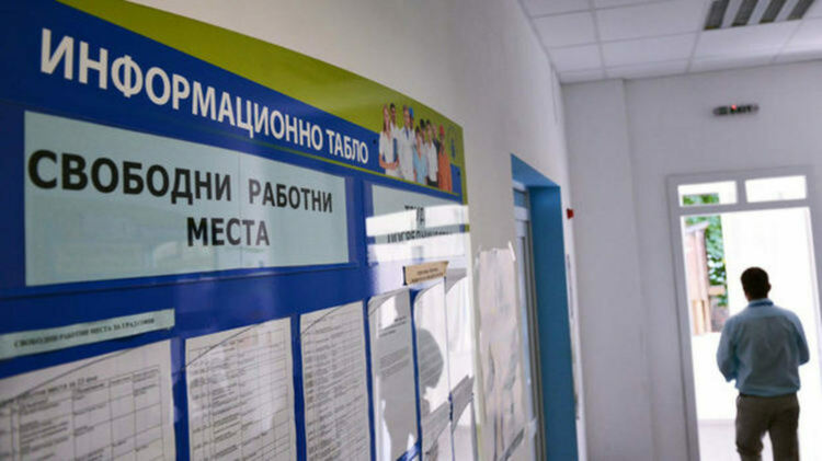 Свободните работни места за община Първомай