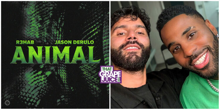 Джейсън Деруло се събра с R3HAB за сингъла „Animal“
