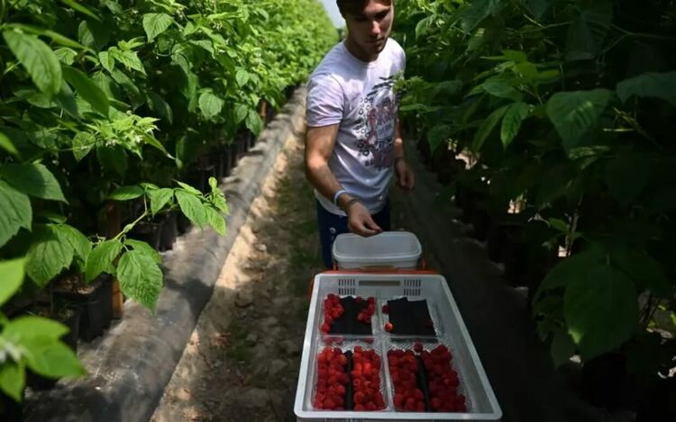 ГЕРБ затваря кранчето на лесните пари за безработица