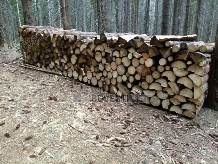 Спад в търсенето на дърва за огрев отчитат от горските стопанства в Смолянска област