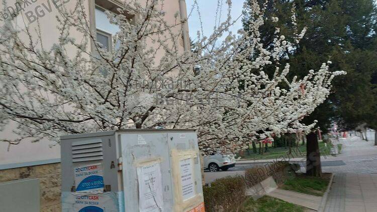 Слънчево и ветровито днес в Кърджали