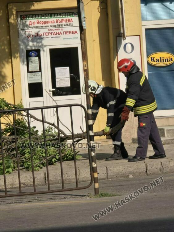 Отстраниха опасно надвиснал клон в центъра на Хасково