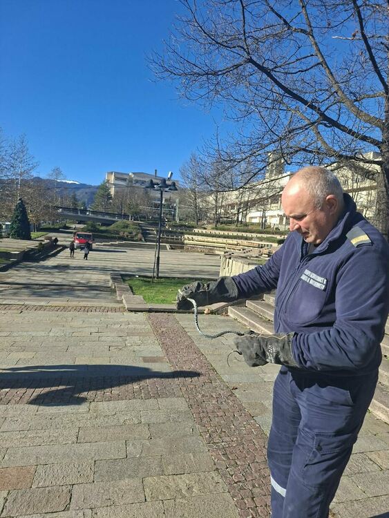 Пожарникари заловиха усойница пред Родопския драматичен театър в Смолян