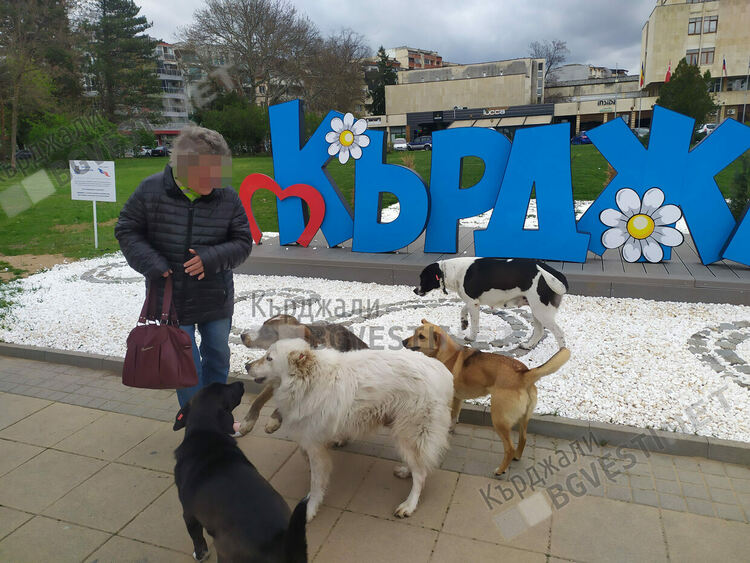 Глутница агресивни кучета напада кърджалийци до Пасарелката, има нахапани хора