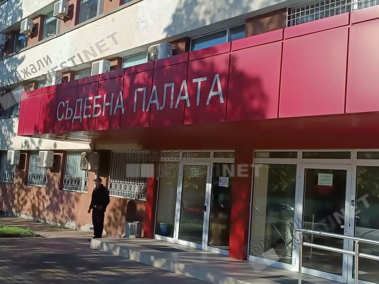 Жена от Ардино бе нахапана от кучета в двора на болницата, съди Община Кърджали за 4000 лева обезщетение