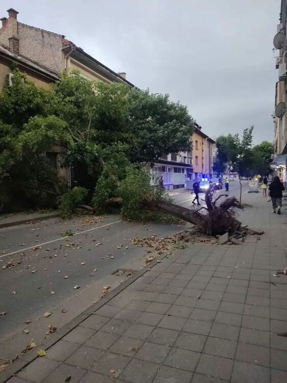 Отвориха Кресненското дефиле след мощната буря
