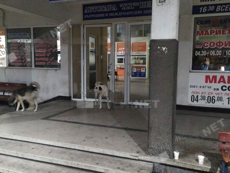 Двама пребиха кърджалиец в района на автогарата